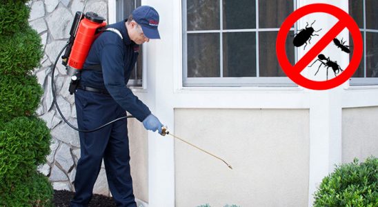 Kargı Fare İlaçlama böcek ilaçlama ve haşere kontrolü — ilaclama-tr.com